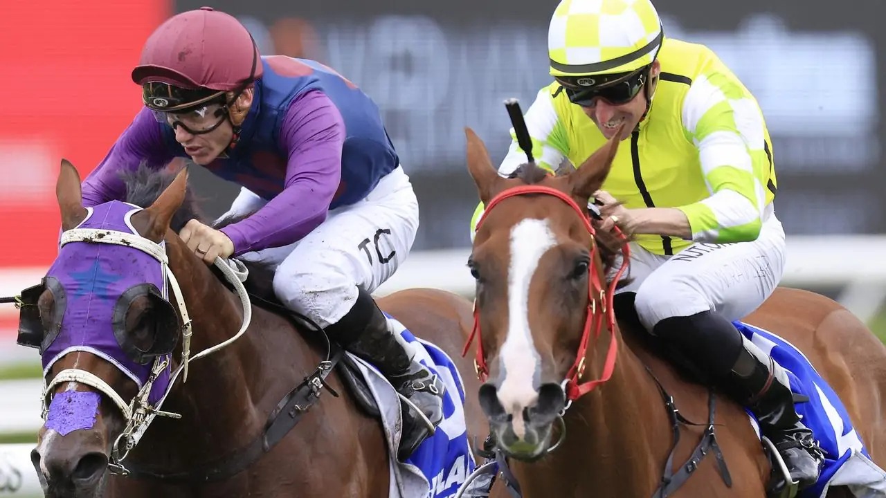 FREE: Rosehill Tip Sheet & Staking Plan: Saturday 12th March Image
