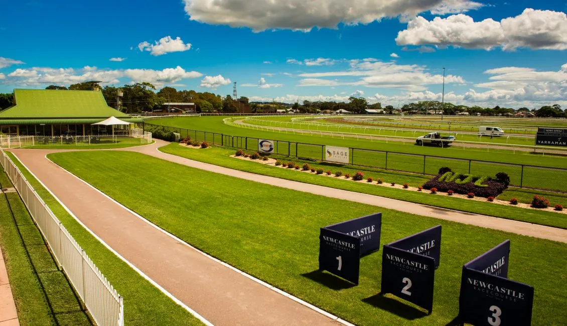 Newcastle Tip Sheet & Staking Plan: Wednesday 19th January Image