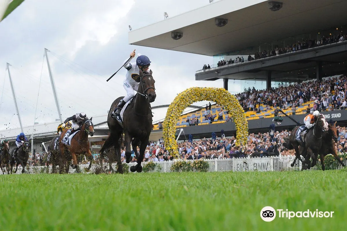 FREE: Rosehill Tip Sheet & Staking Plan: Saturday 7th January Image