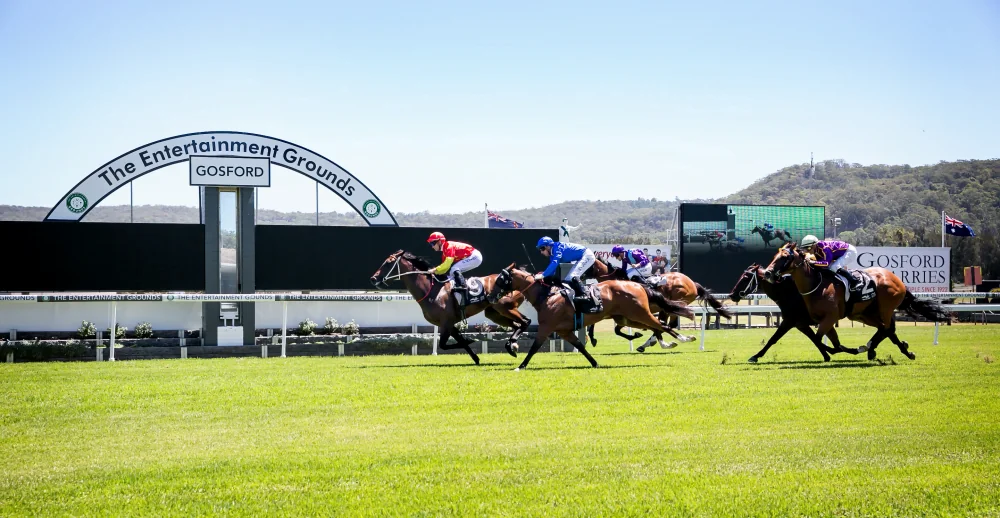 FREE: Gosford Tip Sheet & Staking Plan: Wednesday 30th November Image