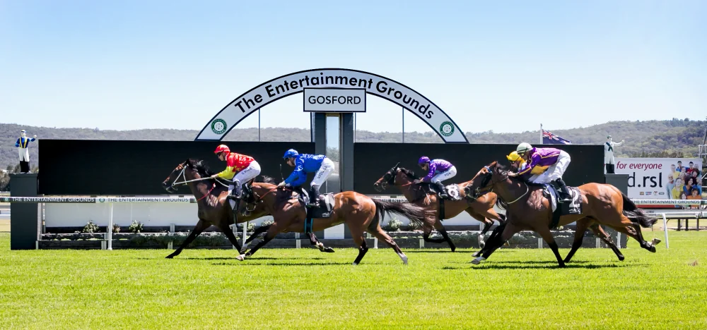 Goford Tip Sheet & Staking Plan: Wednesday 23rd February Image