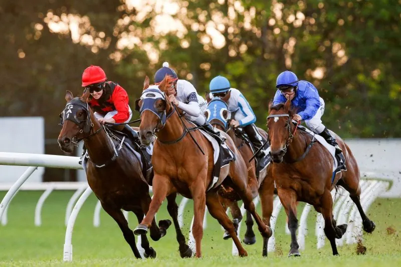 FREE: Rosehill Tip Sheet & Staking Plan: Wednesday 28th September Image