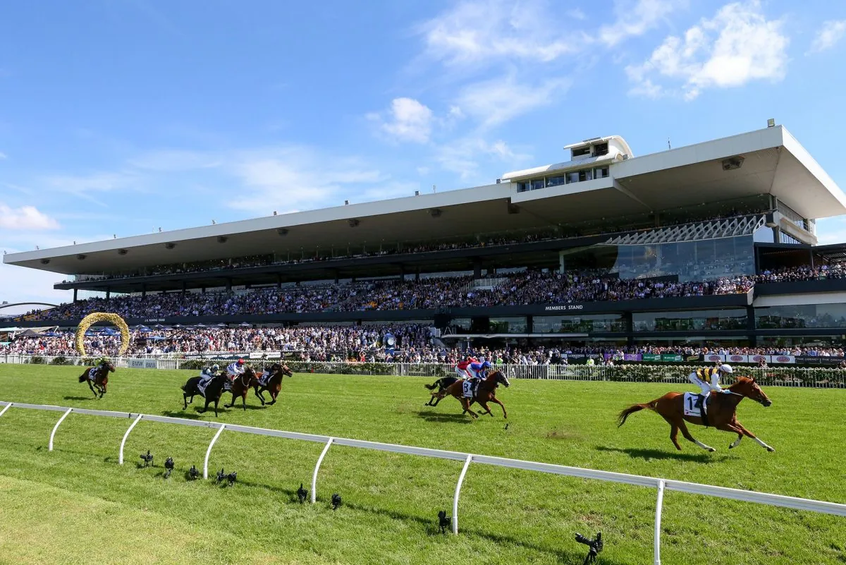 Rosehill Tip Sheet & Staking Plan: Saturday 6th November Image