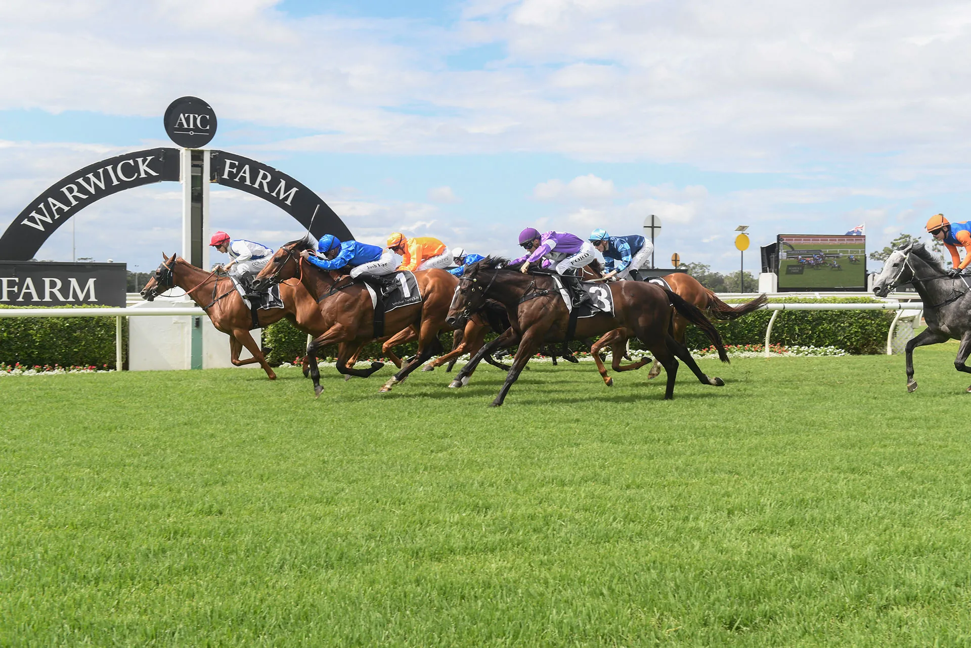 Warwick Farm Tip Sheet & Staking Plan: Wednesday 22nd December Image