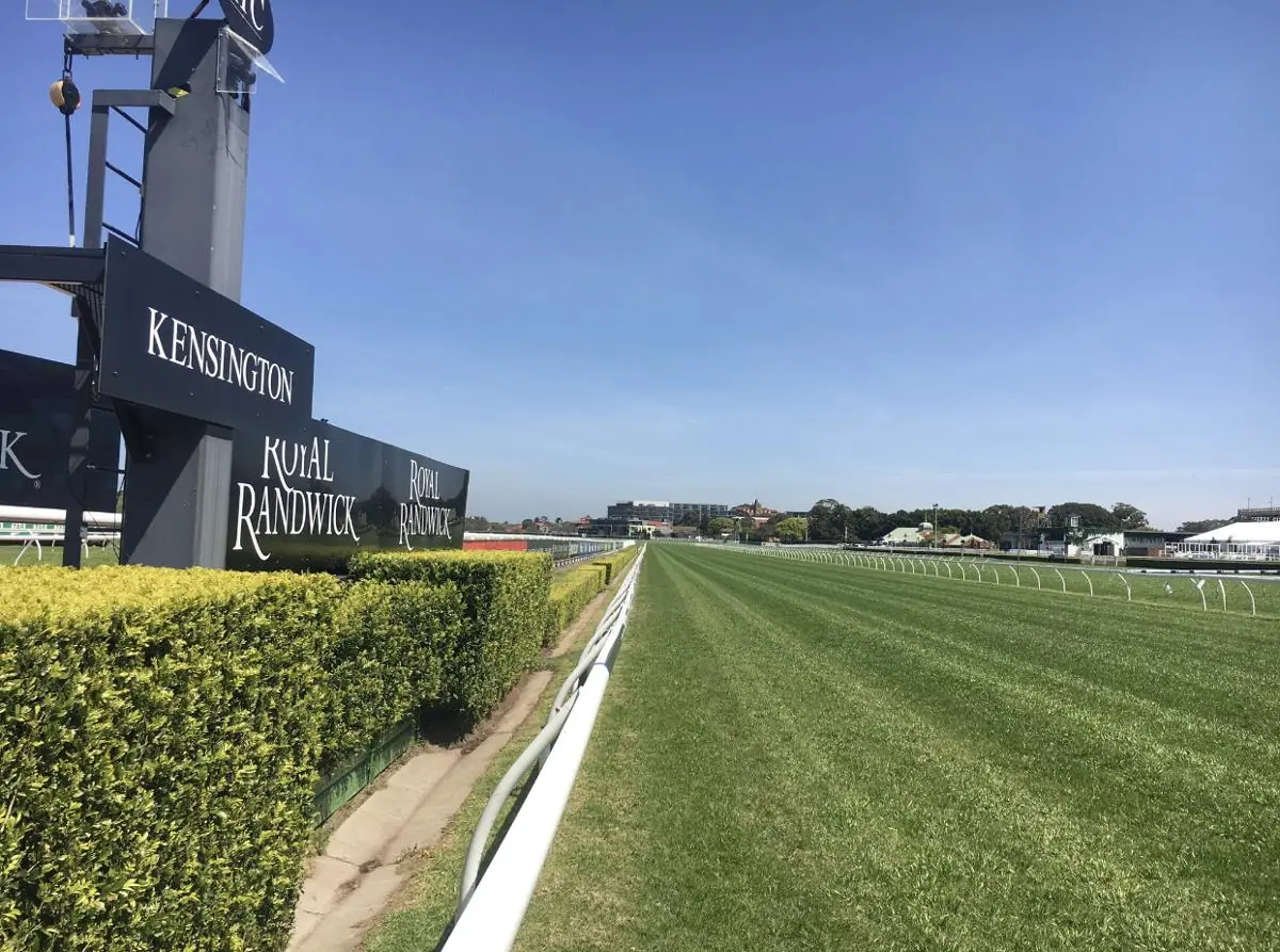 Randwick Kensington Tip Sheet & Staking Plan: Wednesday 25th August Image