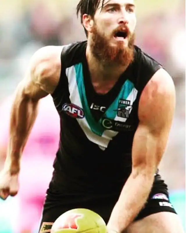 AFL Match of the Round Image