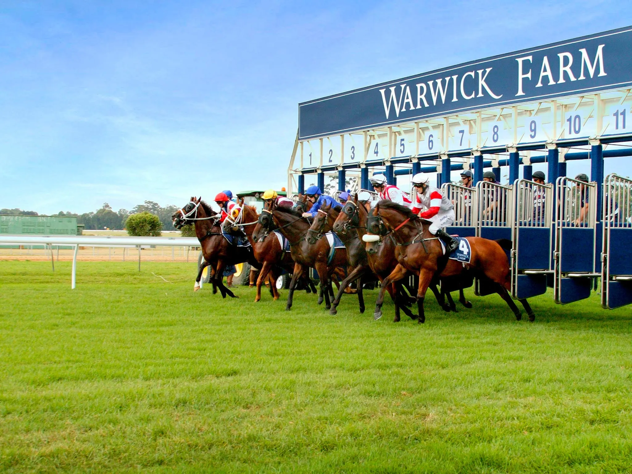FREE: Warwick Farm 13th July – Our Selections Image