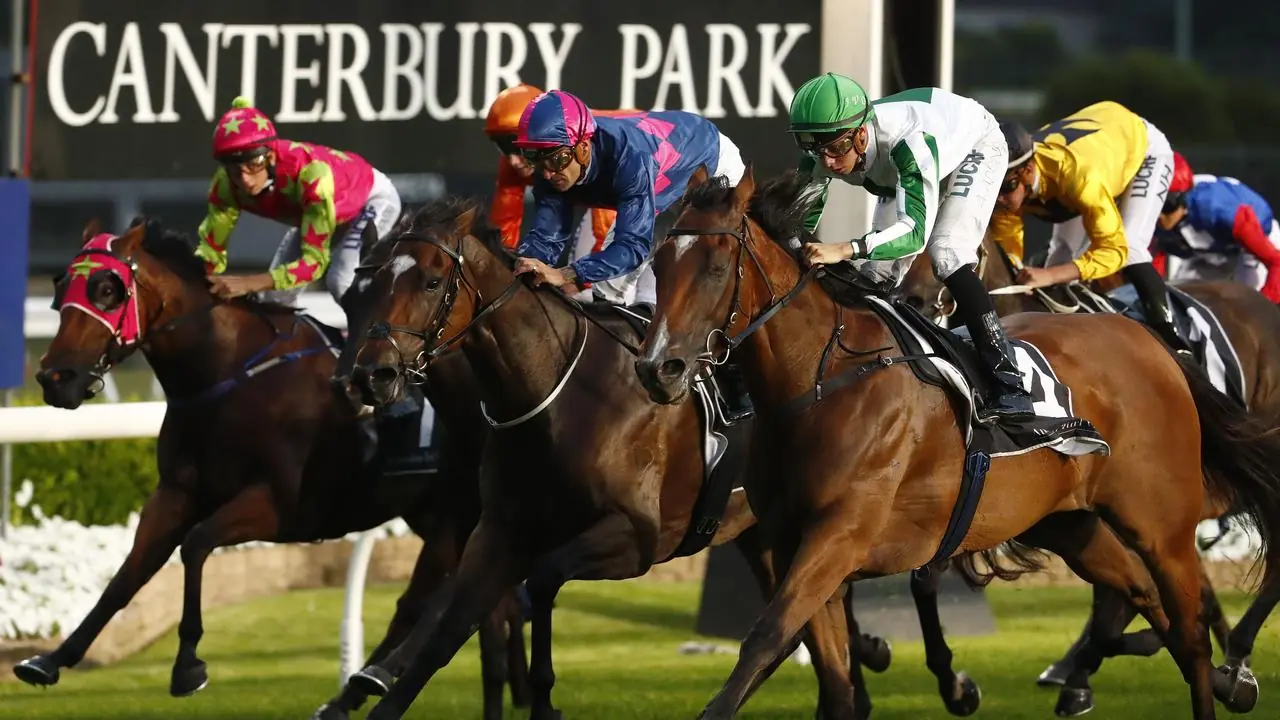 FREE: Canterbury Tip Sheet & Staking Plan: Wednesday 7th June Image
