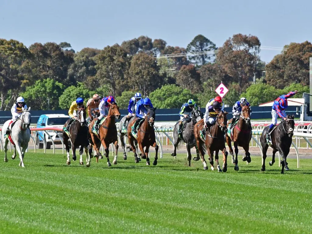 Geelong Tip Sheet & Staking Plan : Wednesday 20th October Image