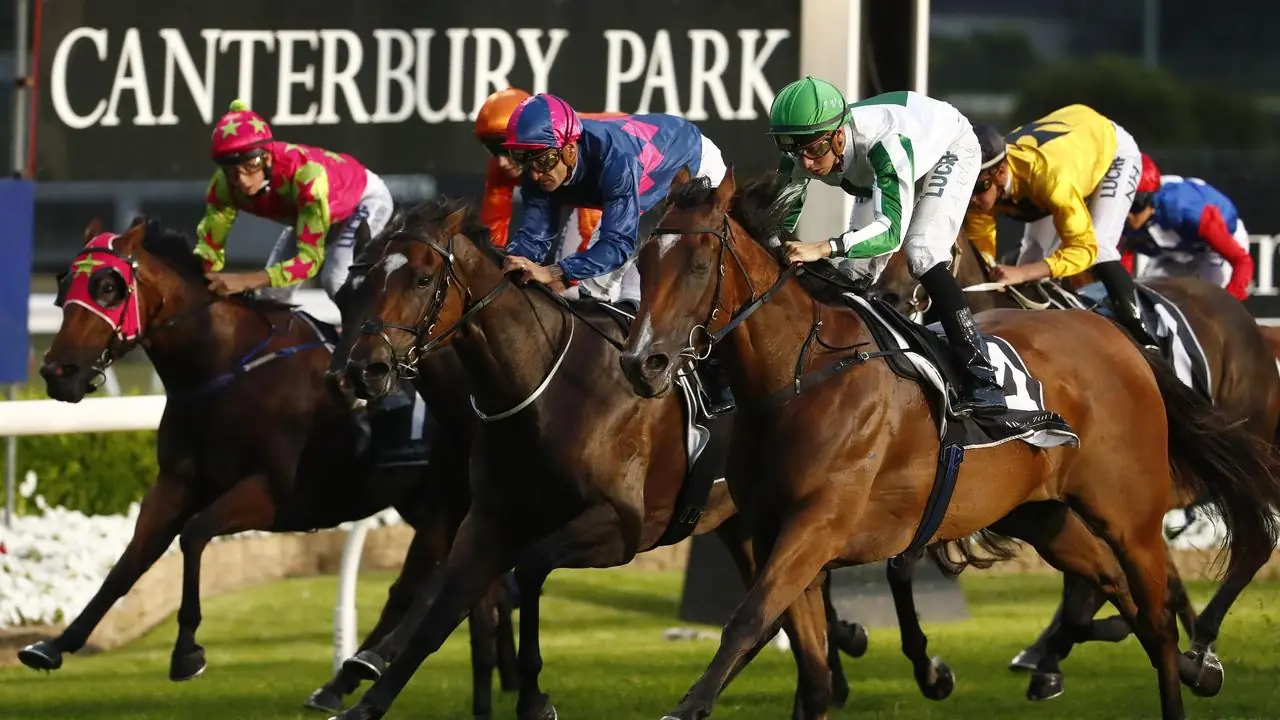 FREE: Canterbury Tip Sheet & Staking Plan: Wednesday 12th July Image