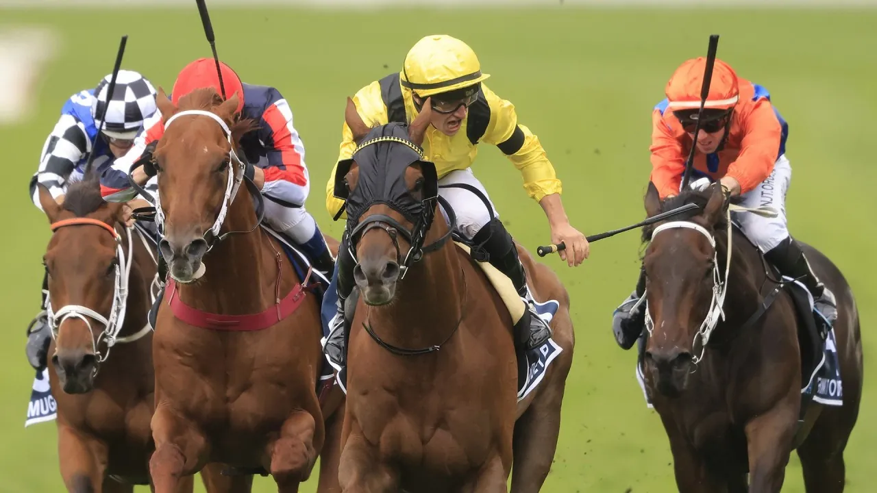 Warwick Farm Tip Sheet & Staking Plan: Wednesday 28thApril Image