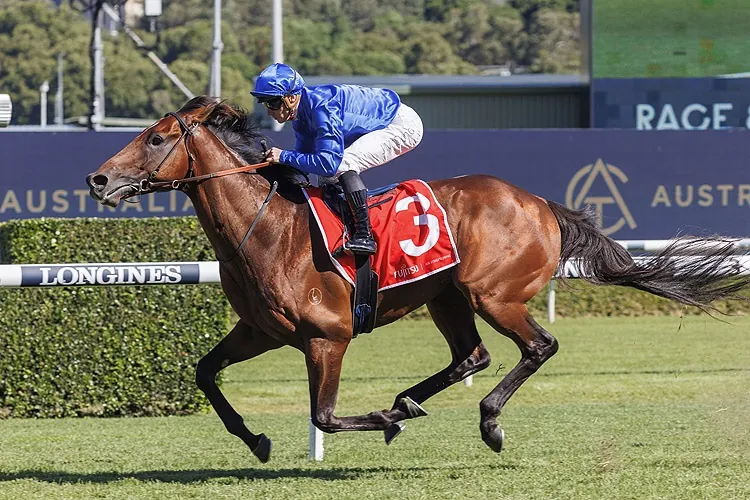 Randwick Review: Cabin On The Way To The Top Level Image