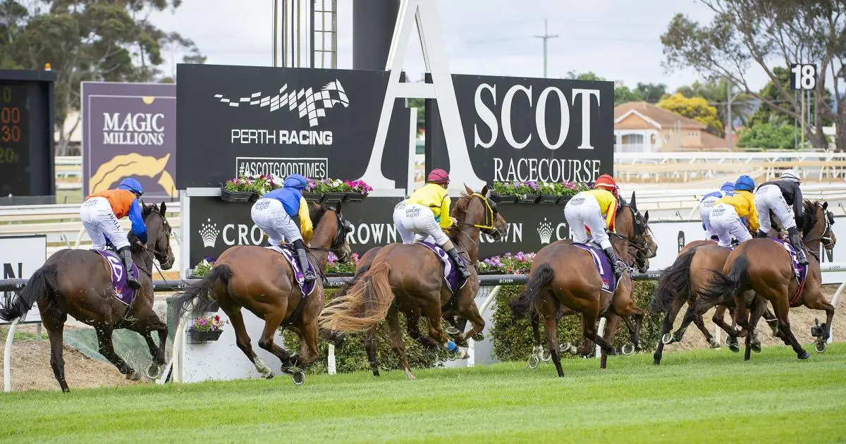 Ascot Selections & Staking Plan: Saturday 18th December Image