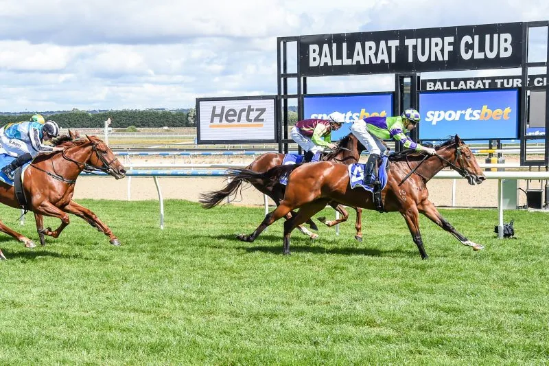 Our Black Book: Horses You Must Follow From Ballarat 9/12 Image