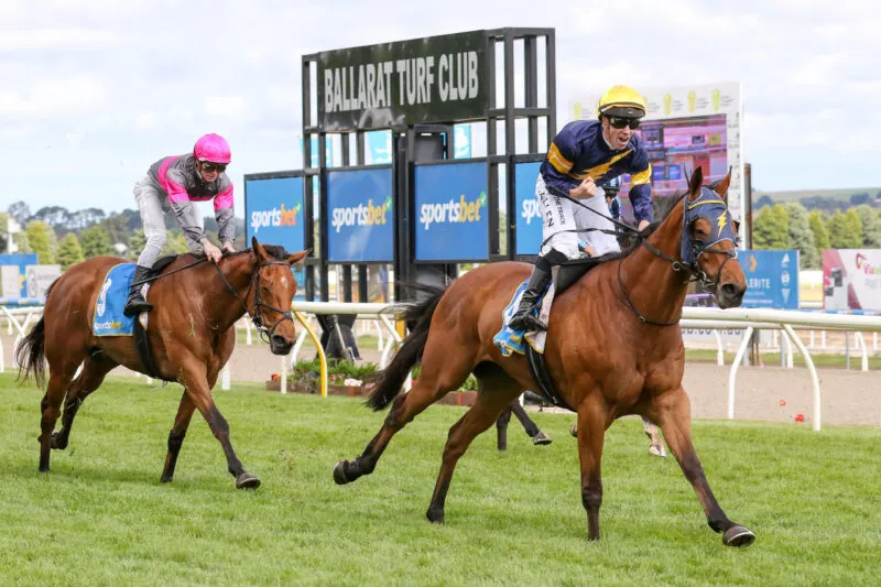 Black Book: Horses You Must Follow From Ballarat 19/11 Image