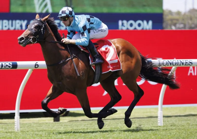 Rosehill Preview: Best Of Bordeaux Back Image