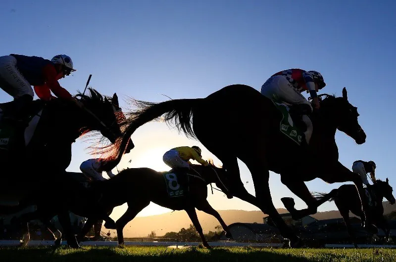 The Edge NSW: Friday 7/1 Image
