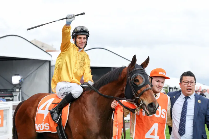 FREE: Thursday Racing Best Bet 23/11 Image