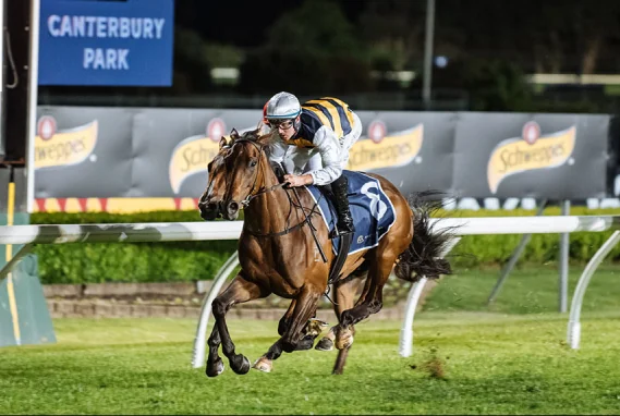 Canterbury Best Bet 5/1 Image