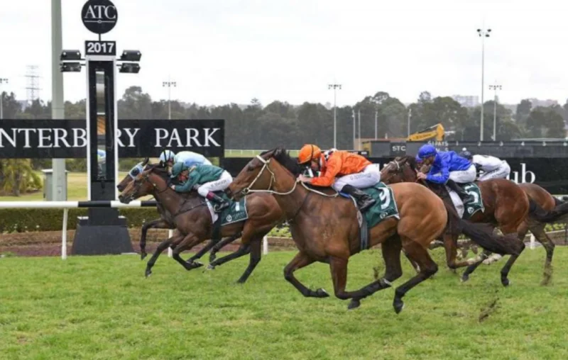 FREE: Canterbury Tip Sheet & Staking Plan: Wednesday 3rd May Image