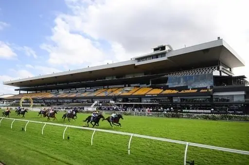 FREE: Rosehill Tip Sheet & Staking Plan: Saturday 3rd February Image