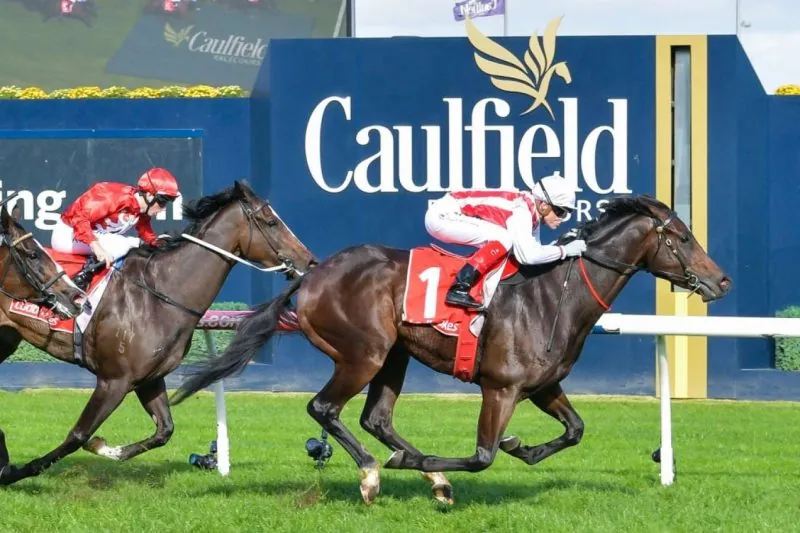 Rosehill Preview: Our Best Pick 22/7 Image