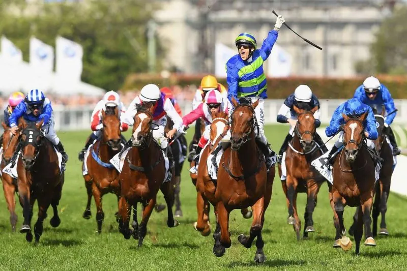 Free Entry Into Our $1,000 Rosehill & Caulfield Competitions This Saturday Image