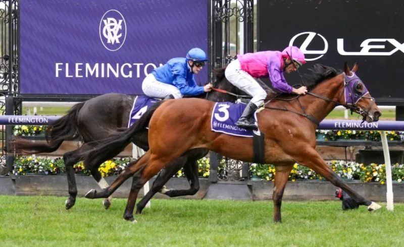 Flemington Preview: Mathrick Has No Cause For Concern Image