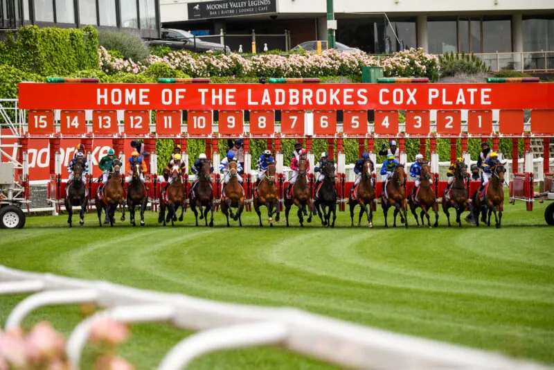 FREE: Moonee Valley Tip Sheet & Staking Plan: Saturday 29th July Image