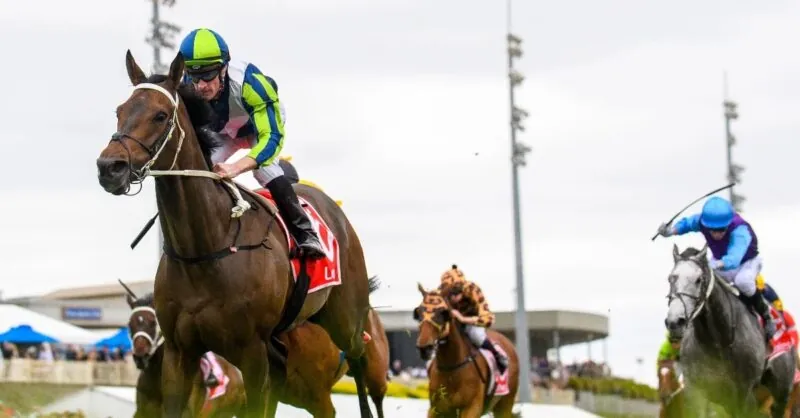Black Book: Horses You Must Follow From Cranbourne 12/11 Image