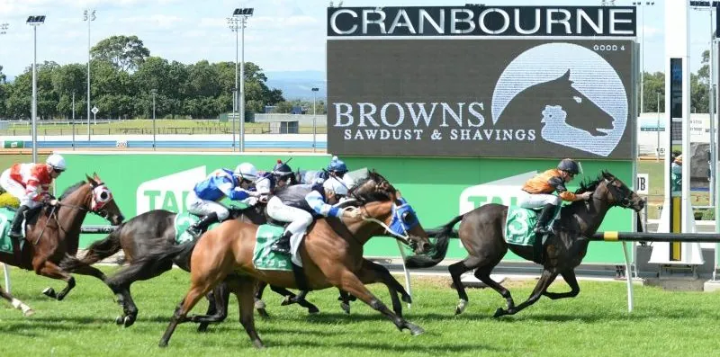 FREE: Cranbourne Tip Sheet & Staking Plan: Saturday 25th November Image