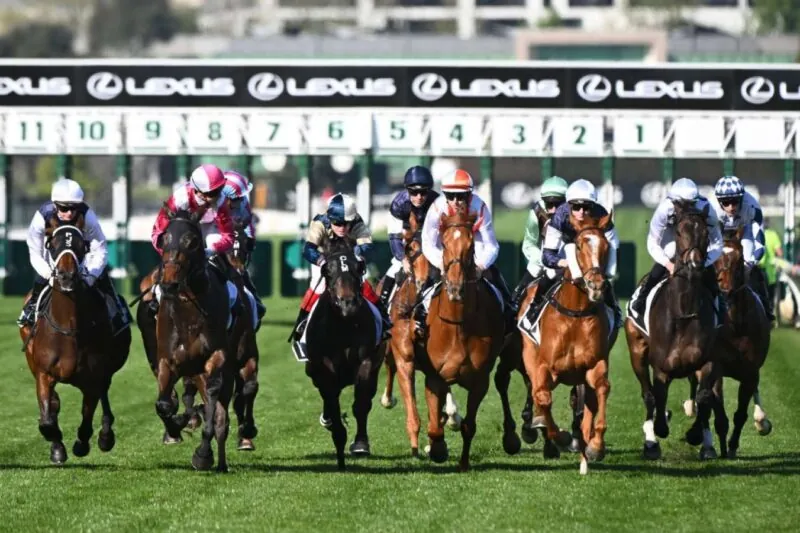 Black Book: Horses You Must Follow From Flemington 29/10 Image
