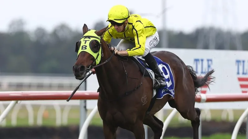 MAHER BLASTS THE GONG Image