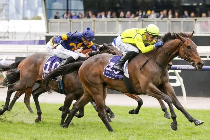 Sandown Preview: Can He Fly On A Firm Track? Image