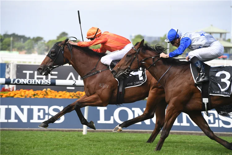 Our BlackBook: Horses Running Today & Staking Plan 5/8 Image