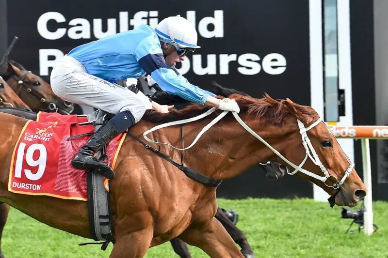 Black Book: Horses You Must Follow From Caulfield 15/10 Image