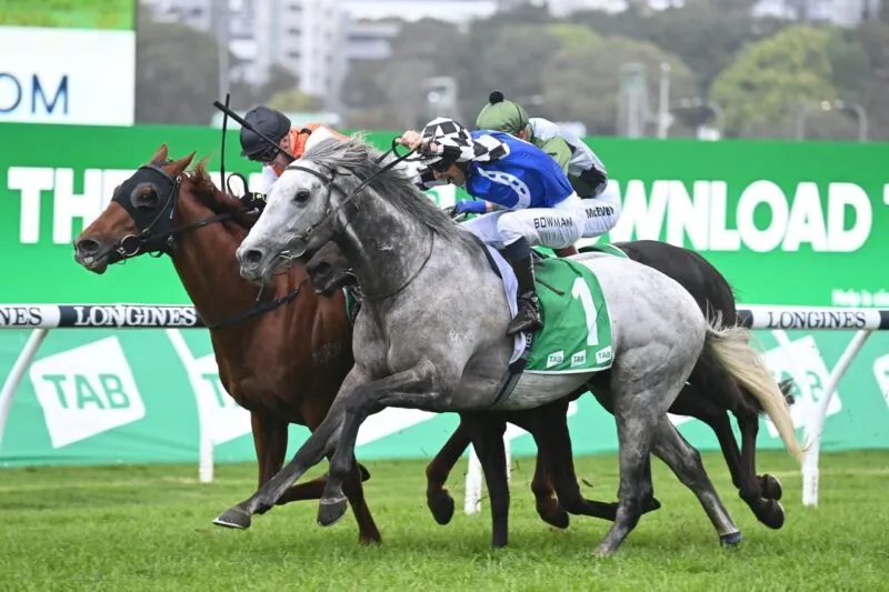 2022 Epsom Review: What The Jockeys Said Image