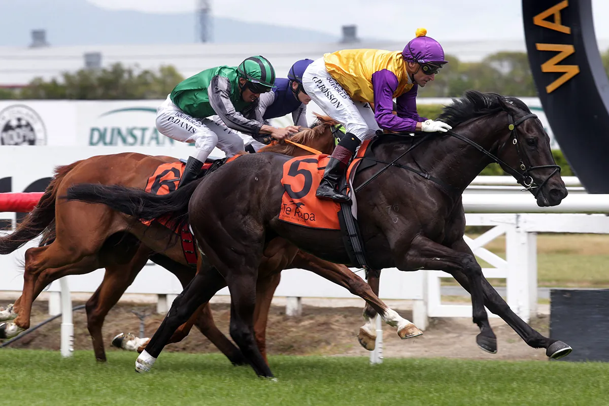 Elephant to make his Australian debut at Caulfield Image