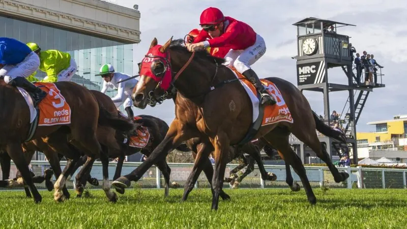 Randwick Preview: Shinn’s Sydney Clue Image