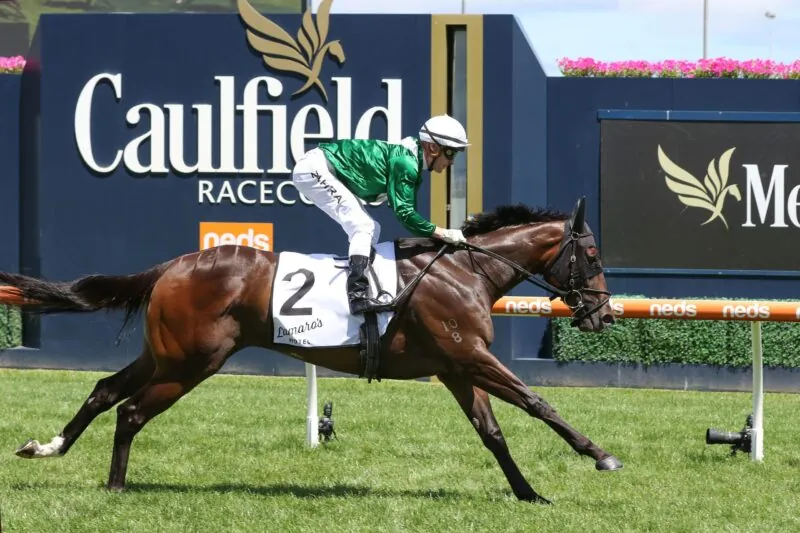 Caulfield Tip Sheet & Staking Plan: Saturday 8th May Image