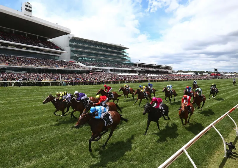 Our Black Book: Horses You Must Follow From Flemington 17/6 Image