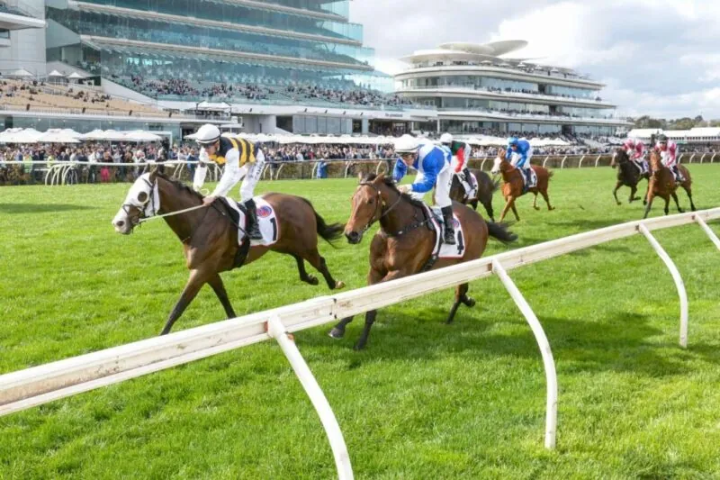 Our Black Book: Horses You Must Follow From Flemington 18/5 Image