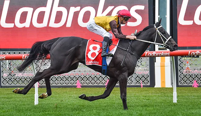 FOXY CLEO SET FOR CRANBOURNE CUP Image
