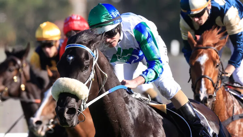 Rosehill Review: Eagle Flies Back To Victoria Again Image