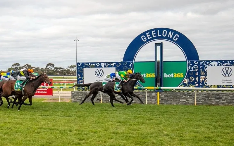 FREE: Geelong Tip Sheet & Staking Plan: Wednesday 25th October Image