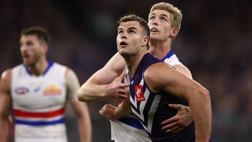 AFL Round 22: Our Insights & Selections Image