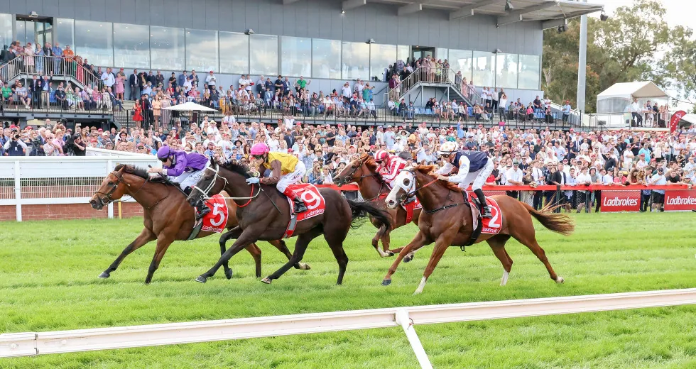 FREE: Cranbourne Tip Sheet & Staking Plan: Wednesday 2nd October Image