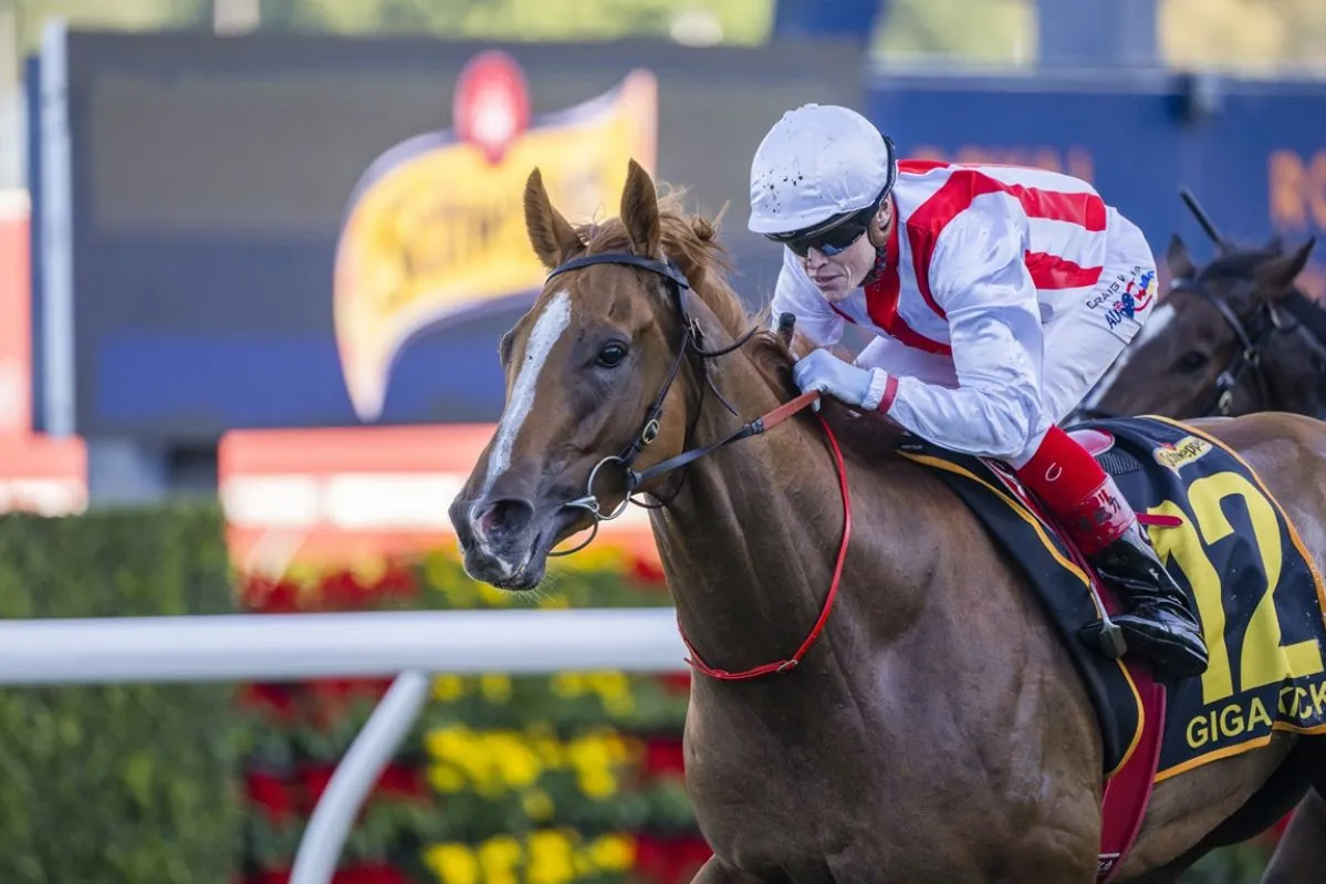 Free: Same Race Multi – Caulfield Cup Image