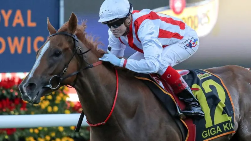 Randwick Review: Giga Kicks Big Monetary Goals Image