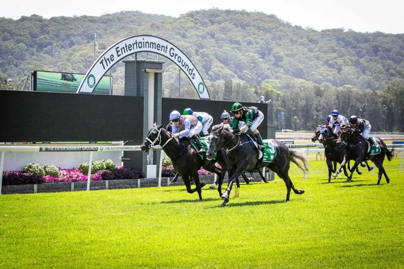 FREE: Newcastle 25th June – Our Picks Image